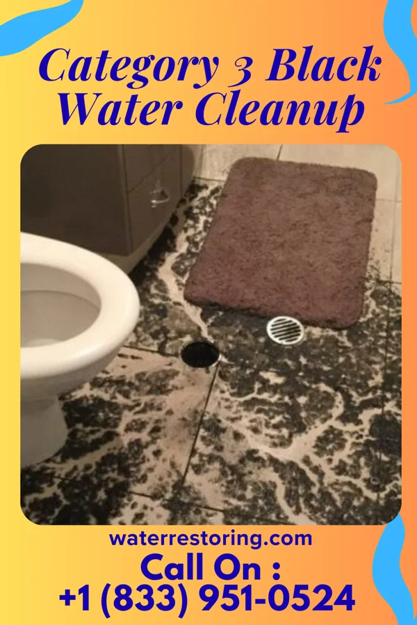Category 3 Black Water Cleanup in South Carrollton, KY