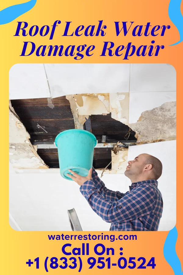 Roof Leak Water Damage Repair in South Carrollton, KY
