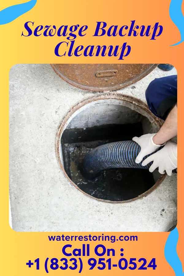 Sewage Backup Cleanup in South Carrollton, KY