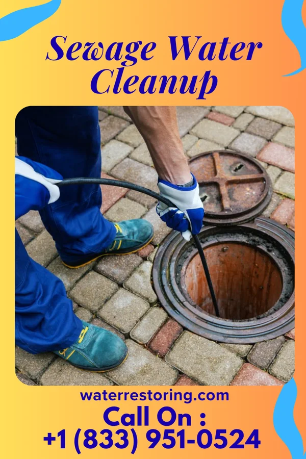 Sewage Water Cleanup in South Carrollton, KY