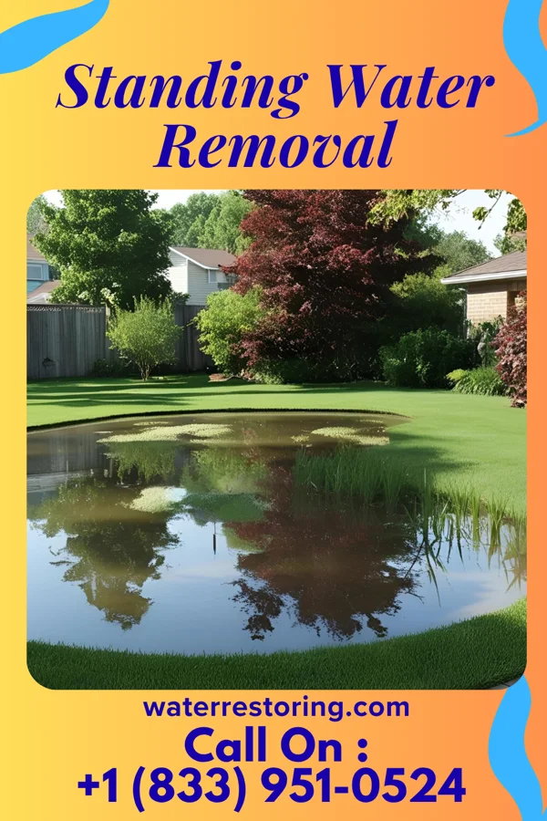 Standing Water Removal in South Carrollton, KY